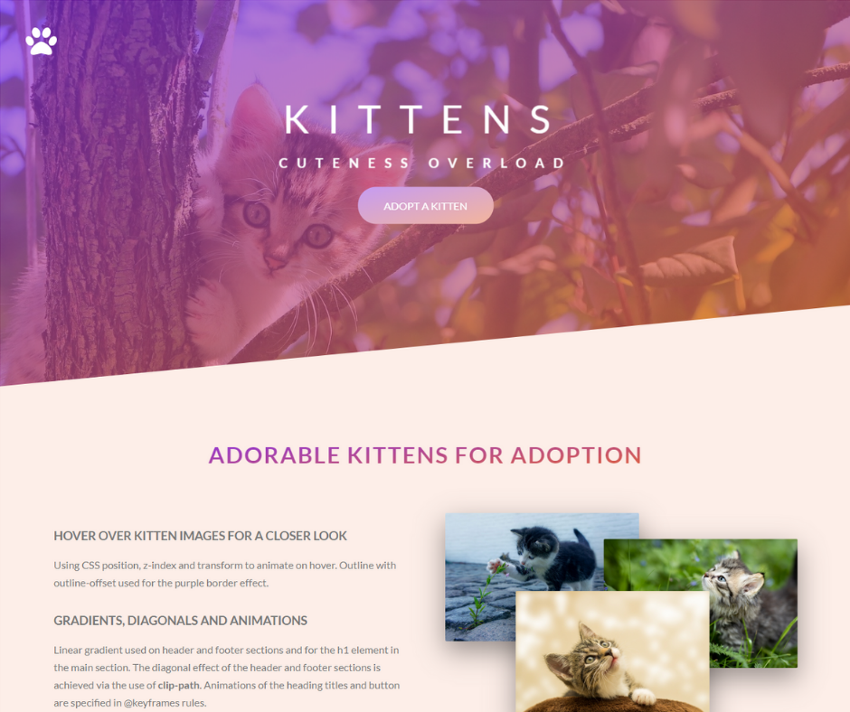 Image of Cats website